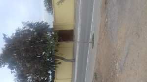 Cimetière de relizane