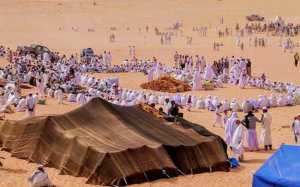Ouargla: la rose des sables, une richesse naturelle à revaloriser....!
