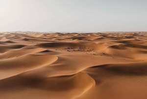 Ouargla: la rose des sables, une richesse naturelle à revaloriser....!