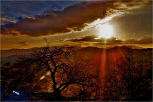 بني ورثيلان