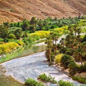 Les affluents, du Oued Bou Saâda..!