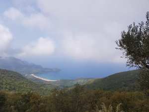 Bonjour, de #Seraïdi hashtag#Annaba... !