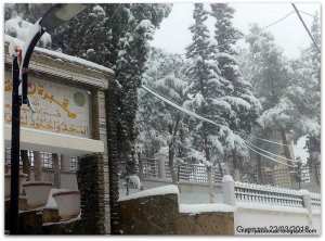 guenzet sous la neige