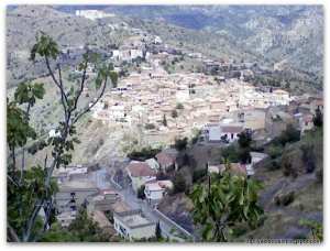 guenzet sous la neige