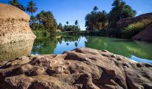 Tiout, une Oasis en quête de revalorisation... !