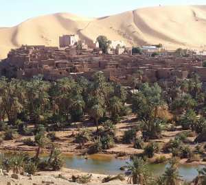 Le schéma de protection et de sauvegarde des stations de gravures rupestres de la région de Taghit... !