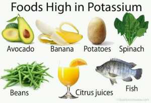 Aliments riches en Potassium