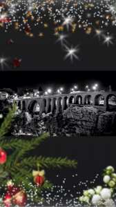 Une bonne année 2019 à tous nos concitoyens du monde