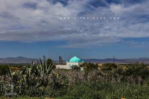 Marabout et cimetière de Sidi Yahia Berrouiguat Non loin de Zenata