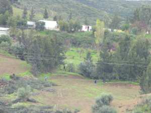Quand la tronçonneuse remplace l'humain !!!