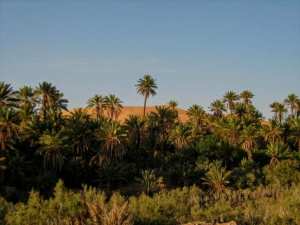 Un village touristique à Touzdit, Igli- Béchar...!