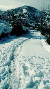 Village Imezgharen (Mezrara)