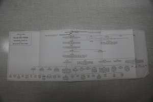 Généalogie des Ouled Sidi Cheikh (Branche cadette) Dite des Oulad Sidi Chikh Rrarba