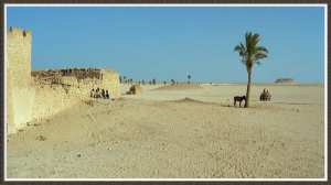 Photo de Ouargla en 1966