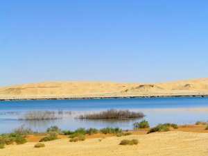 Zone humide d'El Maleh...!