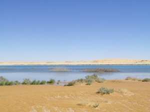 Zone humide d'El Maleh...!