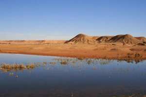 Zone humide d'El Maleh...!