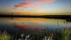 Zone humide d'El Maleh...!