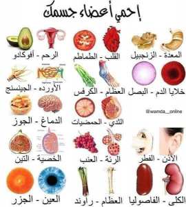 احم كل عضو من جسمك بالغذاء الذي يناسبه