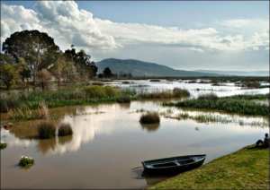 محمية القالة ،ولاية الطارف