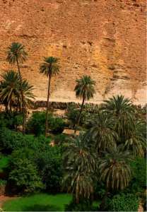 Bou Saâda La  Cité du bonheur
