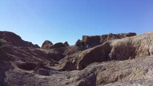 Découverte d’ossements fossiles de trois animaux à Djelfa... !