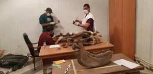 Découverte d’ossements fossiles de trois animaux à Djelfa... !