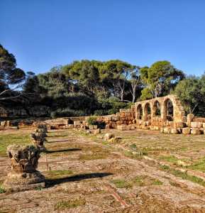 Découverte d’ossements fossiles de trois animaux à Djelfa... !