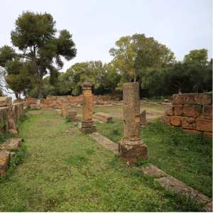 Découverte d’ossements fossiles de trois animaux à Djelfa... !