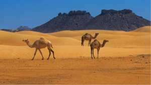 Le #PNC de #Ahaggar, musée à ciel ouvert #Tamanrasse #Sud_Algérie . Connu pour ses richesses#historiques #archéologiques... !