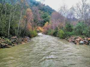 Le Parc National de Taza( PNT) Jijel... !