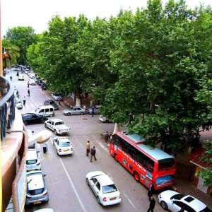 Un patrimoine vivant dans une ville musée... !