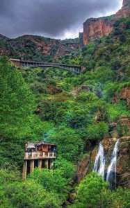 Un patrimoine vivant dans une ville musée... !