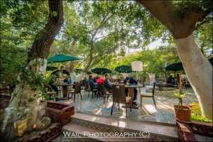 Biskra ,   Jardin Landon   ... !