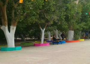 Biskra ,   Jardin Landon   ... !