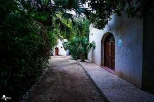 Biskra ,   Jardin Landon   ... !