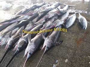 PECHERIE DE GHAZAOUET