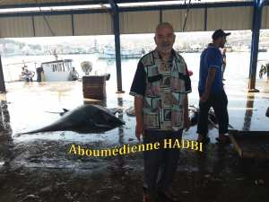 PECHERIE DE GHAZAOUET