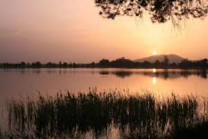 Lac de Sidi Mohamed Benali... !