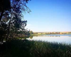 Lac de Sidi Mohamed Benali... !