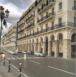 #Alger, Un printemps précoce.