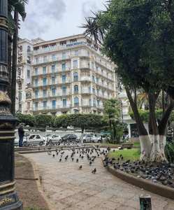 #Algiers #Travel #NaturePhotography #NatureIsBeautiful