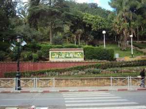 Les Jardins d'Alger... !
