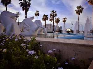 Les Jardins d'Alger... !