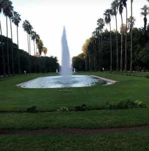 Les Jardins d'Alger... !