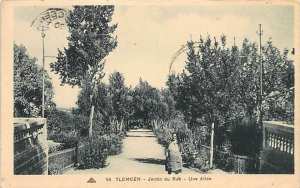 Algerie - TLEMCEN - Jardin du Rab, Une allee - Ed. CAP.