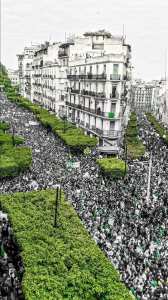 شعب الجزائر الحر