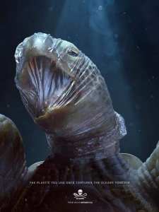 Les dégats du Plastique ...