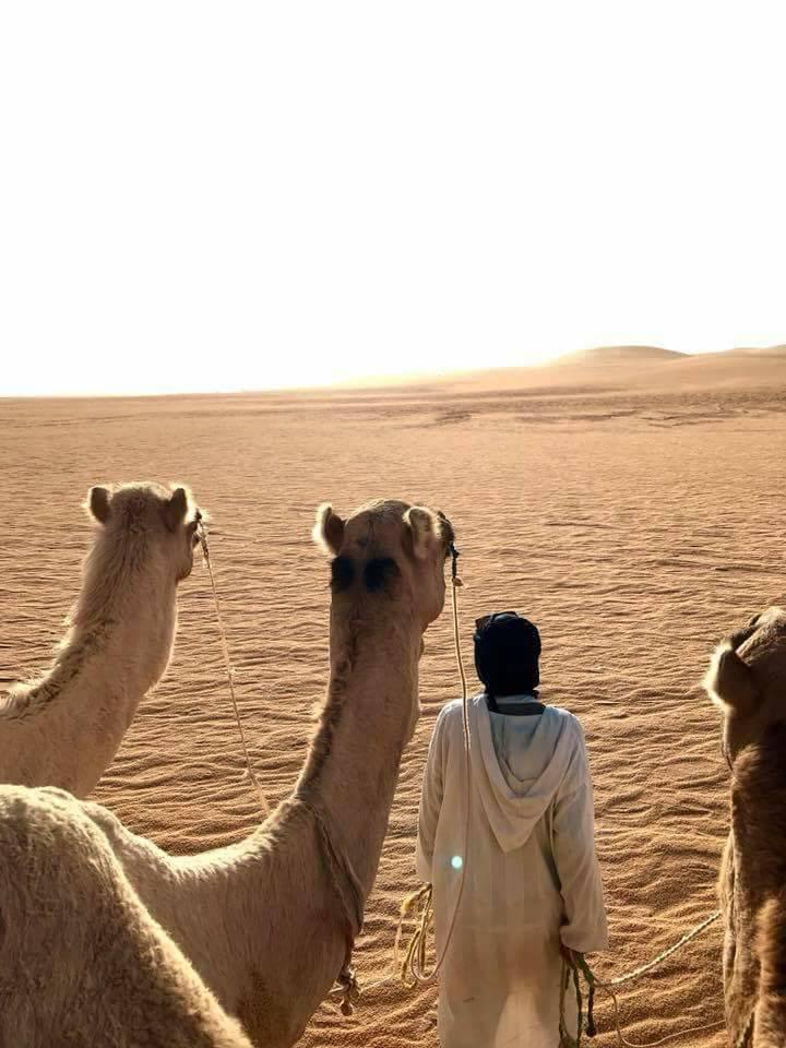 Spécificité architecturale,rouge ocre, perle du Gourara.