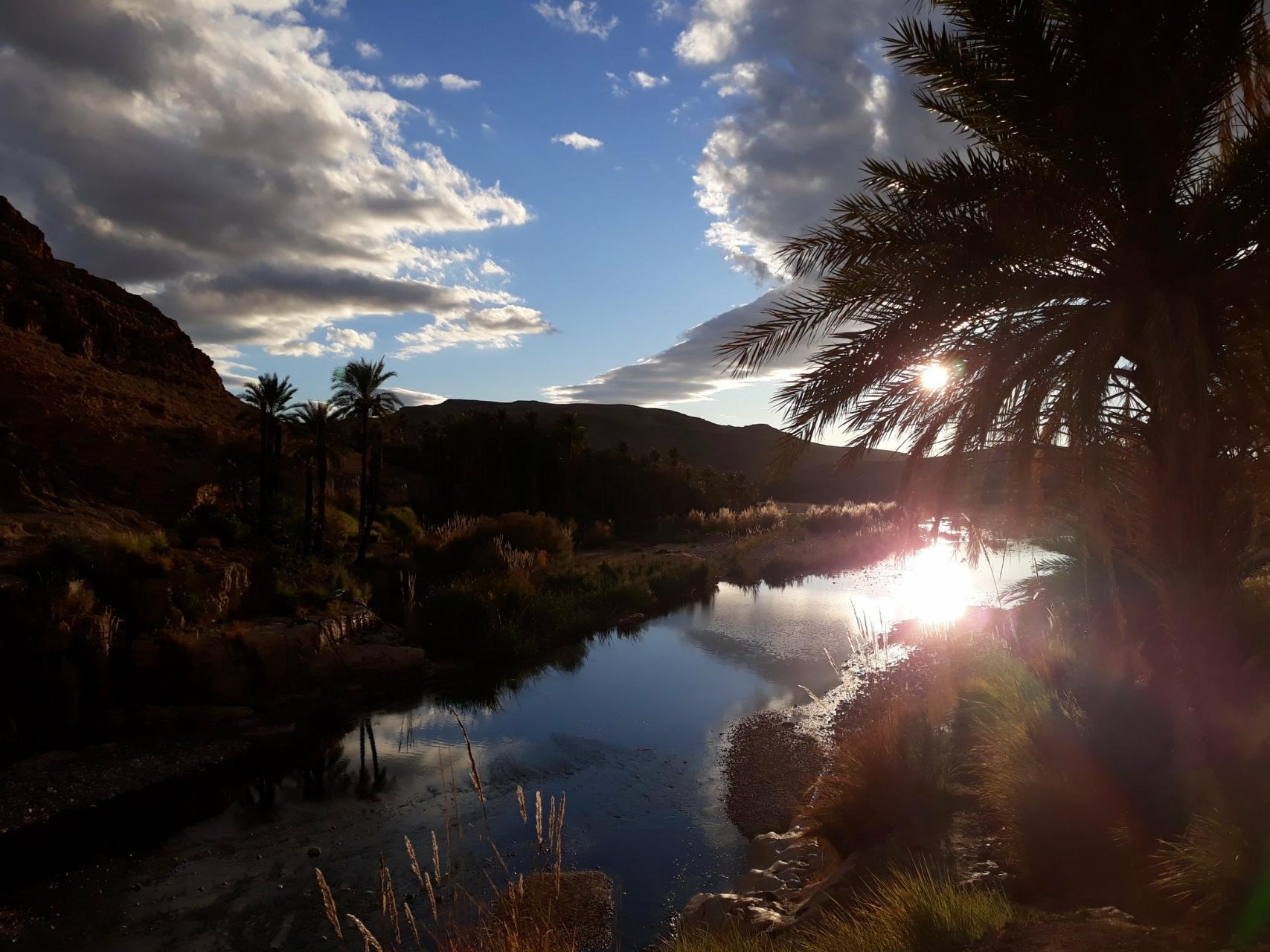 M'chouneche, Biskra... !